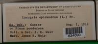 Image Associated With the Occurence
